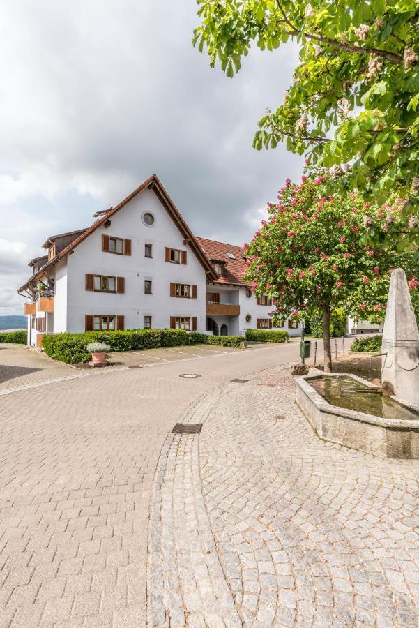 Rh-Appartements 15 Minuten Von Basel Im Dorf Ruehrberg Grenzach-Wyhlen Dış mekan fotoğraf