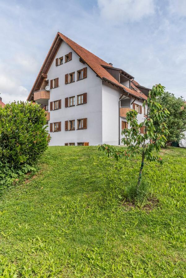 Rh-Appartements 15 Minuten Von Basel Im Dorf Ruehrberg Grenzach-Wyhlen Dış mekan fotoğraf